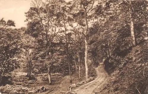 uk17465 horner woods uk