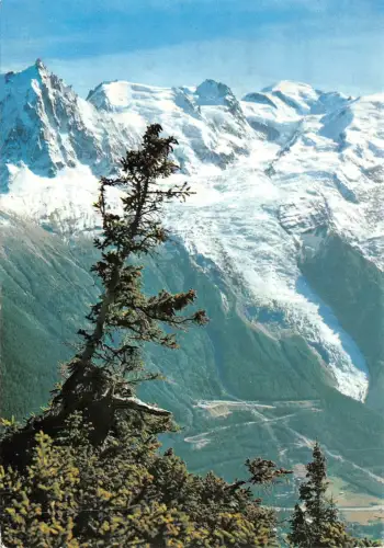 BF628 Chamonix mont blanc aiguille du midi France