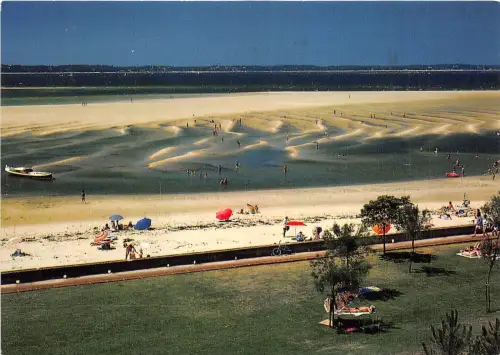 BR22716 Baie d Archachon la plage france