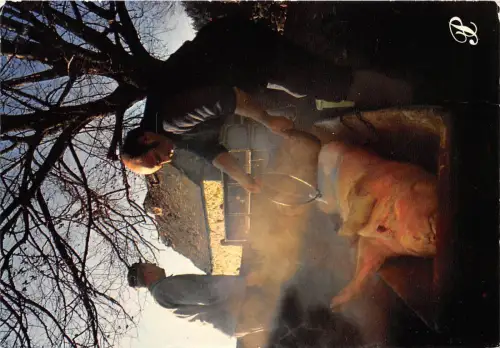 BR25390 Frankreich Tradition Schwein 2 Scans Frankreich