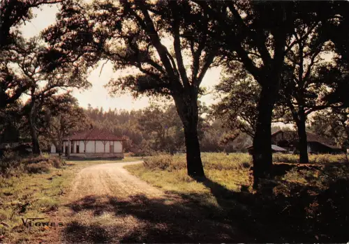 BT5243 des Landes ferme landaise il faut almer lazur France