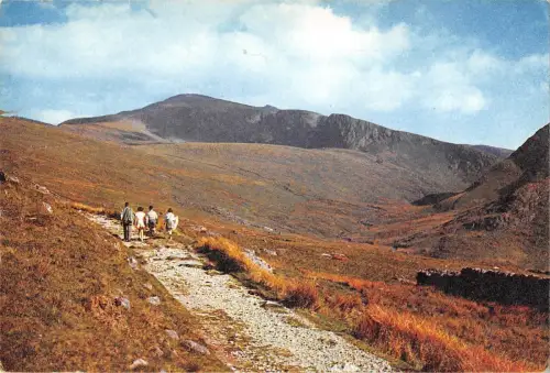 BT11301 Llanberis Track Up Snowdon Wales