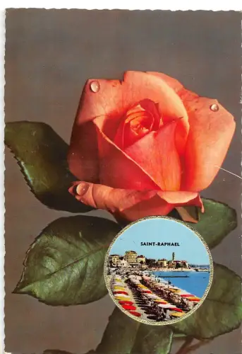 BT13056 Vallazur Grasse saint raphael Frankreich