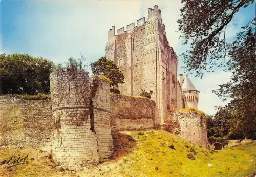 BR54673 Le chateau saint Jean Nogent le rotrou france