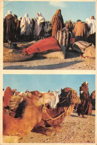 BT2077 Sebieta jour de marche Kamel Chamel Tunesien