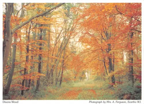 BR76664 dixons wood uk