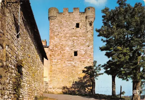 BT5248 Capdenac le haut Uxellodunum le donjon Frankreich