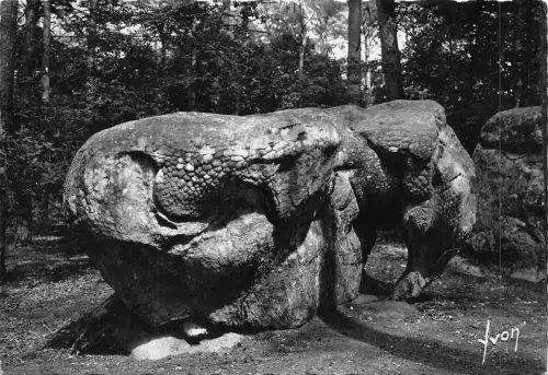 BF438 fontainebleau la foret apremont Echtfoto Frankreich