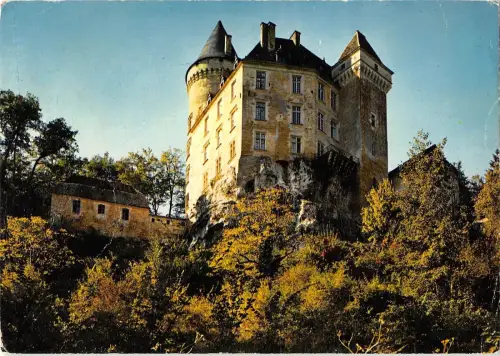 BT10843 Vallee de la DOrdogne le chateau de la roque meyrais Frankreich