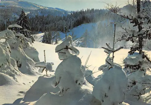BF2645 niege et soleil Winterlandschaft Frankreich