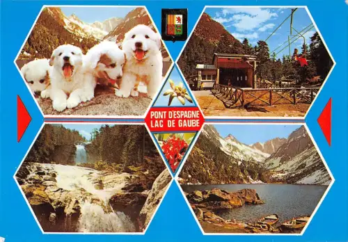 BT8690 Chiots des Pyrenees telepherique et cascade du pont d espag France