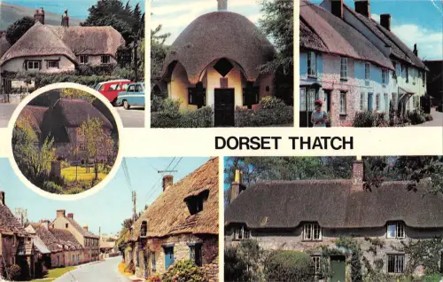 B103623 dorset tatch uk