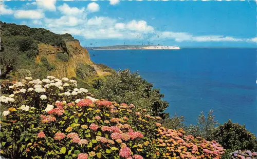 B88085 luccombe chine i o w uk 14x9cm