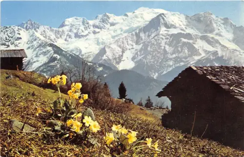 BR29370 Au pays du mont Blanc Printemps alpestre France