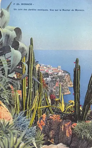 BG25716 monaco un coin des jardins exotiques