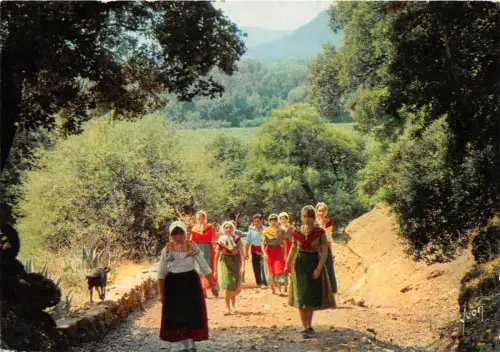 BR31265 Cotes de Provence terre de la vigne et des Cigales Retour de vendanges