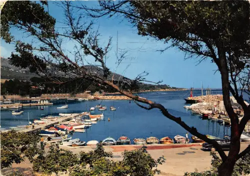 BR22794 Carqueiranne port des salettes france