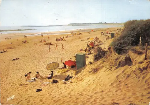 BR31074 Ile D Oleron Plage de la Rmigeasse Frankreich