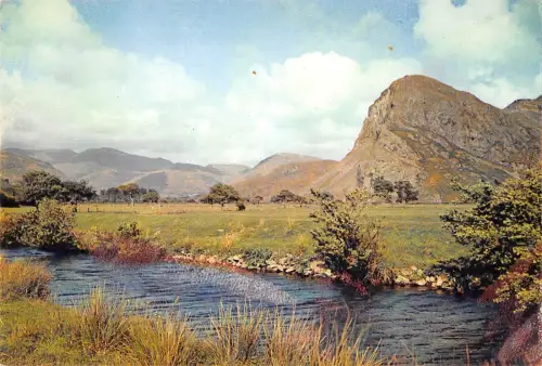 BR77854 der Vogelfelsen Merioneth Wales