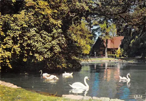 BT4135 Vittel le par cles cygnes swan France