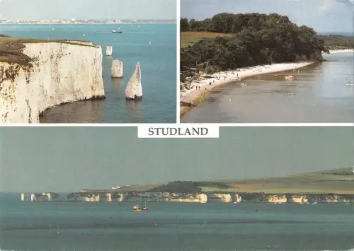 BR90721 studland dorset the pinnacles uk