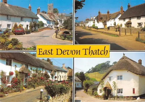 BR83025 east devon tatch uk