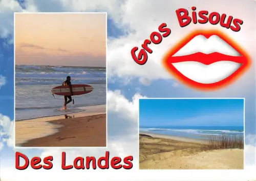 BT6808 Des Landes France