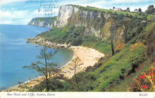 B101505 Bierkopf und Klippen Seaton Devon UK 14x9cm