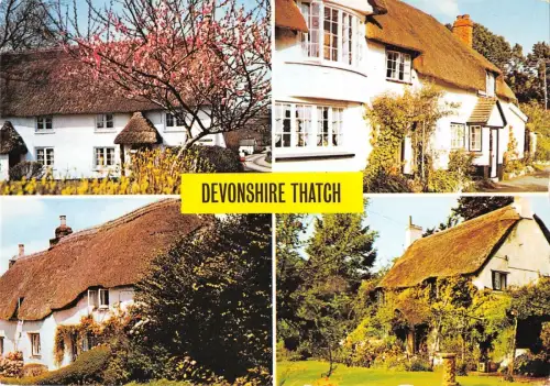 B96870 devonshire tatch uk
