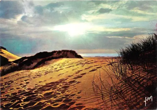 BR31405 Coucher de Soleil dans le Dunes france