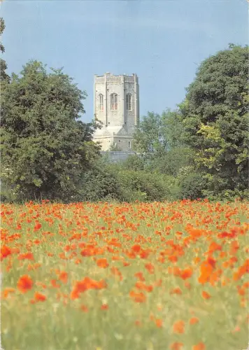 BR89819 swaffham prior norfolk uk