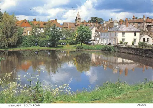 BR91778 Midhurst South Pond UK