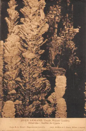 BF8137 detail des feu aven armand causse mejean lozere france France