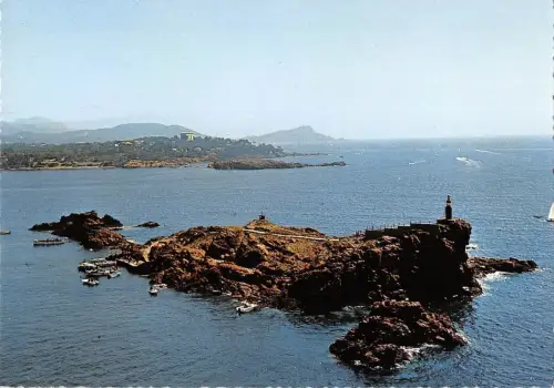 BR49063 Le lion de mer Saint Raphael Frankreich