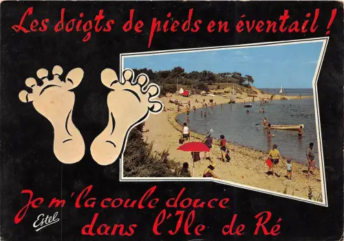 BR30989 Ile de Re la plage et les bois de trousse cheise Frankreich