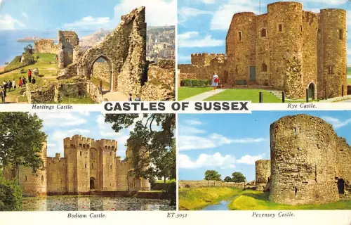 BR77625 Castle of Sussex UK 14x9cm