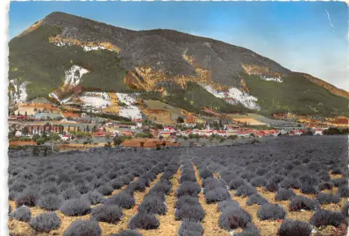 BR29516 St Andre les Alpes lavanderaie france