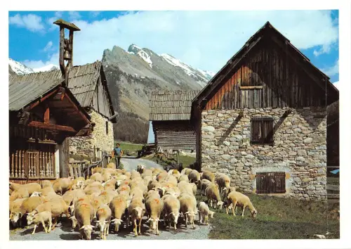 BF753 soleil et montagne sheep mouton france