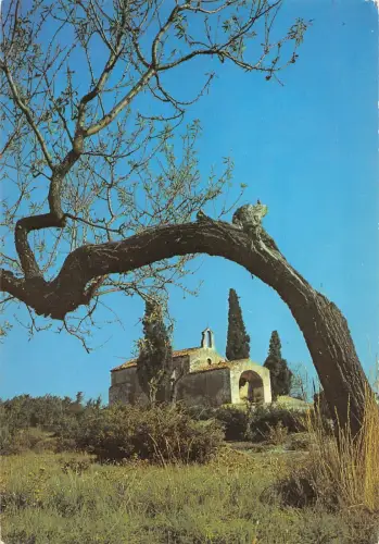 BT8862 La chapelle st sixte Eygalieres France