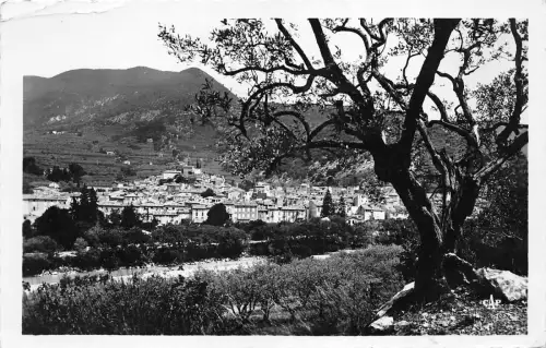 BR18209 Nyons panorama a travers les oliviers france