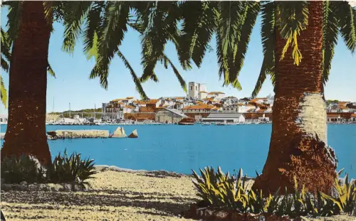 BR26777 Antibes echapee sur la vieille ville a travers les palmiers Frankreich