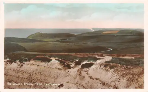 B90923 the downs beachy head eastbourne uk