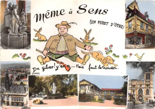 BR28320 Meme a Sens en foret d othe Yonne multi views france