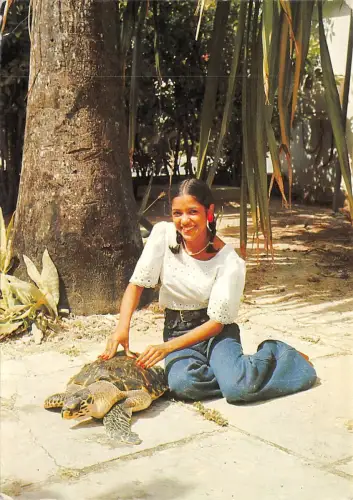 BR43493 Guadeloupe pour preper un bon repas a la tortue Schildkrötenmehl Frankreich
