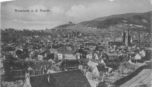 BR29954 Neustadt a d Hardt germany