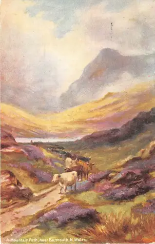 auk41448 a mountain path near barmouth wales uk