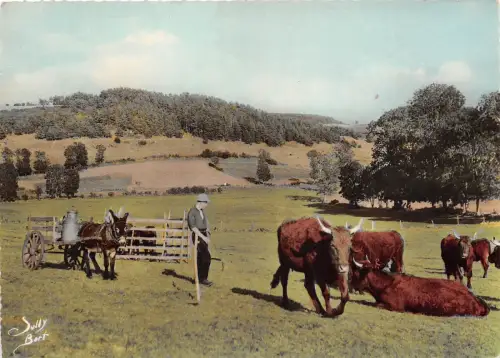 BR29686 a la montagne Kuhvacher