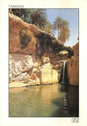 Lot100 Tamerza der Wasserfall einer Bergoase Tunesien Tameghza