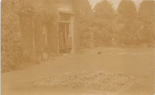 Lot315 Sozialgeschichte Echtfoto Mädchen mit Katze UK