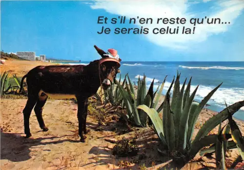 BR25698 Ane Donkey 2 Scans